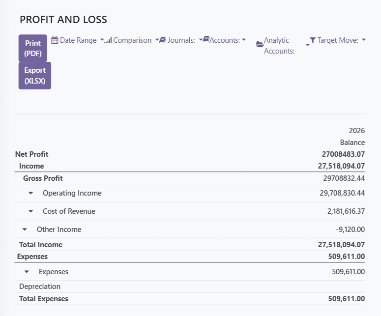 Custom Profit & Loss report built inside Odoo