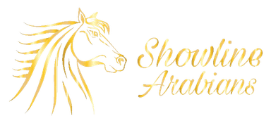 Showline Arabians logo